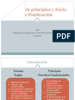 Test de Proporcionalidad y Juicio de Ponderación Básico EMI