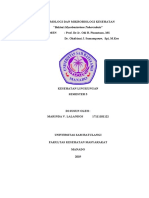 Mycobacterium Tuberculosis