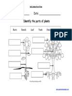 Soal Latihan Part of Trees