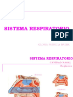 SISTEMA RESPIRATORIO corpusalud