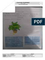 Actividad 1 - Segundo Periodo - Ciencias Naturales