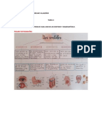 Tarea 2