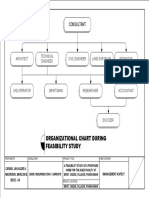 Organizational Chart During Feasibility Study: Consultant