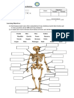 Learning Objectives: QUIZ 1 - Labelling The Human Skeleton