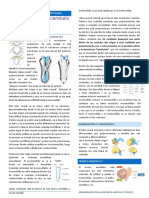 2 Tronco encefálo, cerebelo y cuarto ventrículo.docx