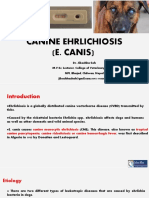 Canine Ehrlichiosis - Dr. Jibachha Sah, M.V.SC, Lecturer