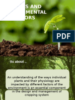 Plants and Environment Factors - The Plant