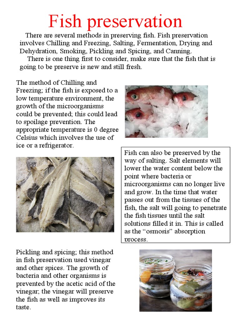 fish-preservation-pdf-food-preservation-foods