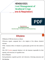 HENGG-5321, Ethylene & Respiration