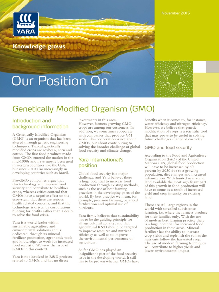 Yara's Position on GMOs and Food Security | PDF | Genetically Modified ...