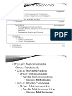 Unidad 2 Modulo 2 Metamonada A Trichomonosis