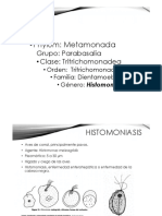 Unidad 2 Modulo 2 Metamonada B Histomonosis