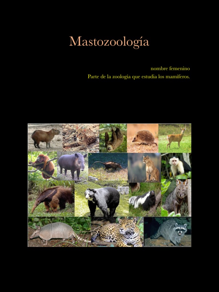 001 Introduccion Mastozoologia Compressed | PDF | Protostomas | Taxa