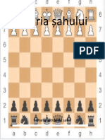 Istoria Șahului: Mari Partide de Șah