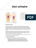 Infection Urinaire