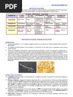 Download TREPONEMA PALLIDUM Sfilis by Jos Gabriel Quiroga Villagra SN45946685 doc pdf