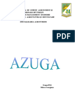 AZUGA.docx