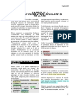 output.pdf