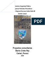 Ministerio Seguridad Pública PDF