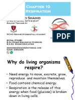 Chapter 10 Respiration (Print).pdf