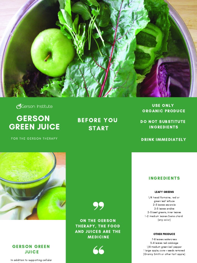 Gerson Green Juice Before You Start PDF Pulp (Paper) Leaf Vegetable