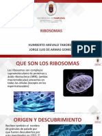 BIOLOGIA (1).pptx
