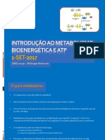 Introducao ao metabolismo e bioenergetica 2017