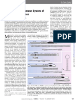 CRISPR/Cas, The Immune System of Bacteria and Archaea