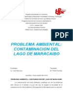 Problema Ambiental Contaminacion Del Lago de Maracaibo