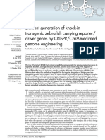 Efficient Generation of Knock-In Transgenic Zebrafish Carrying Reporter/ Driver Genes by CRISPR/Cas9-mediated Genome Engineering