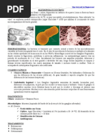 Download Haemophilus Ducreyi y Calimatobacterium Granulomatis by Jos Gabriel Quiroga Villagra SN45948253 doc pdf