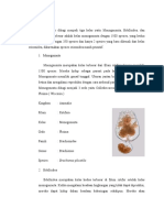 Klasifikasi Rotifera Dan Protozoa