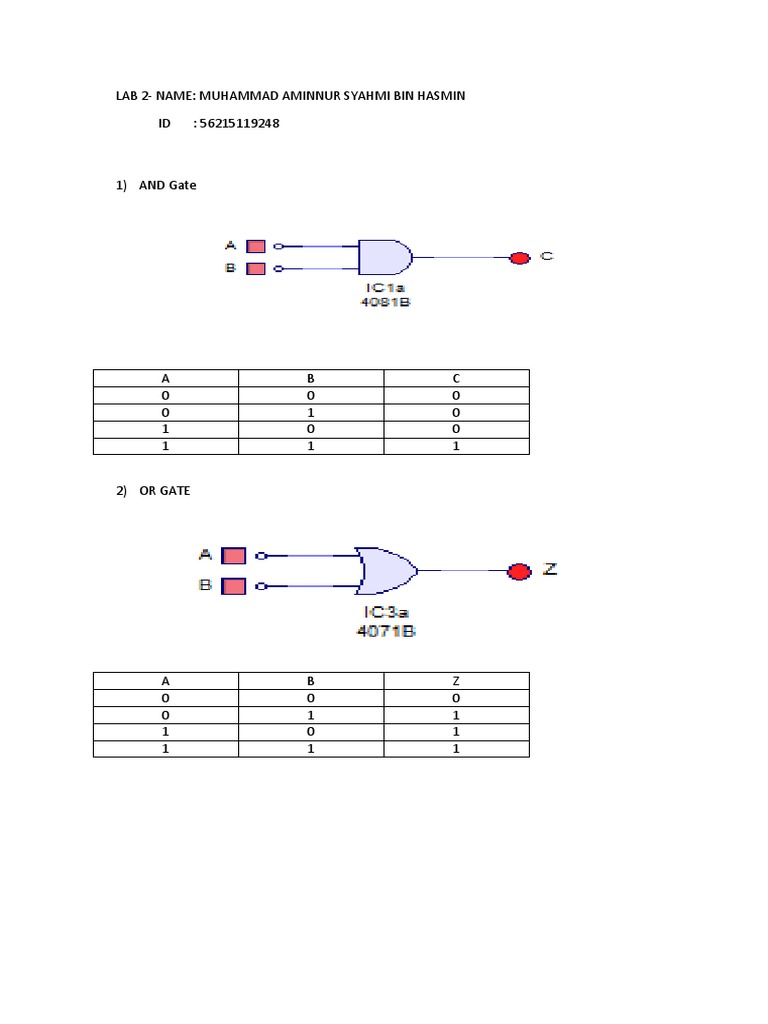 Digital Logic Gates Lab Report PDF