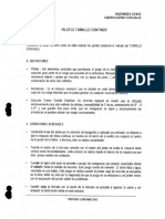 226179352-Construccion-Pilotes-de-Tornillo-Continuo.pdf