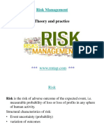 Risk Management: Theory and Practice