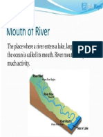 Mouth of River