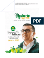 Plan de Gobierno Rigoberto Alfonso