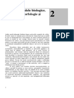 Cursuri Biocel PDF