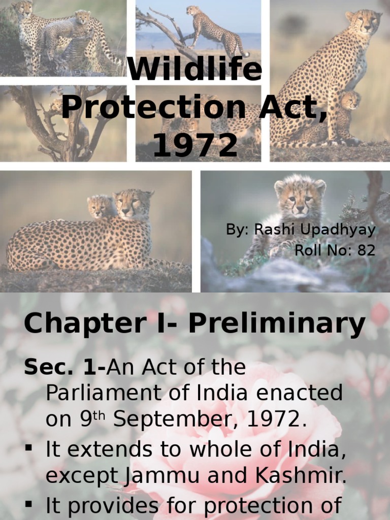 Overview of Wildlife Protection Act 1972 | PDF | Science & Mathematics ...