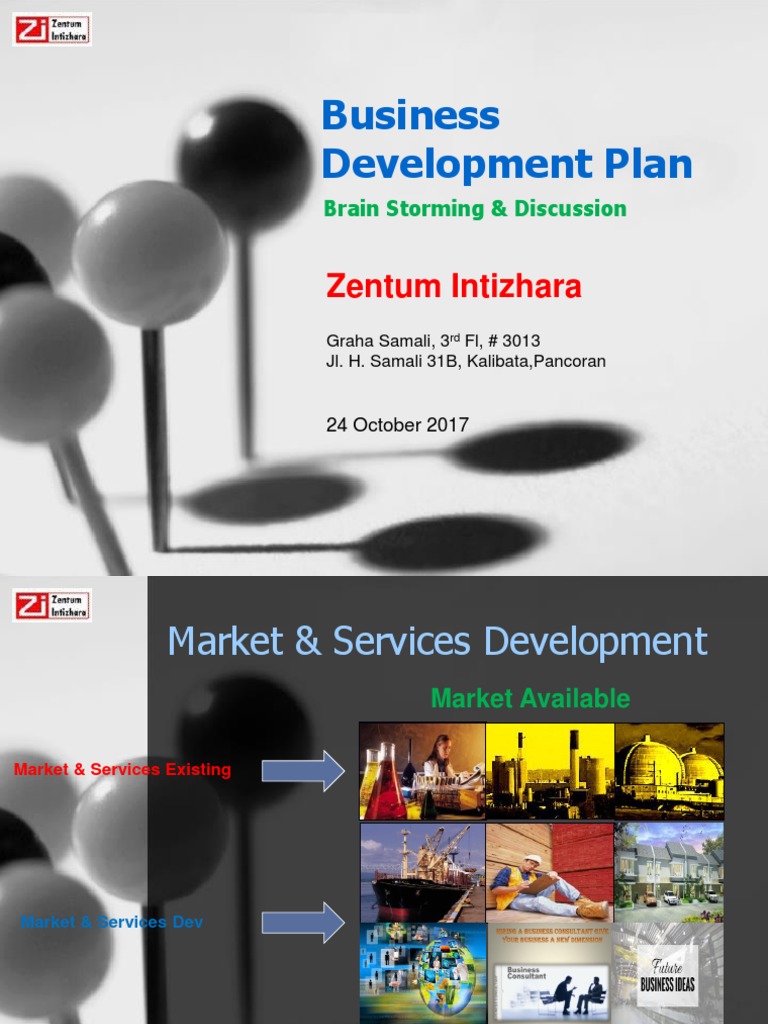 Business Development Plan Overview | PDF