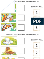 Secuencias Temporales Ordena La de Forma Correcta PDF