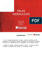 Palas..pdf