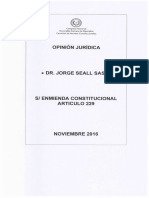 Dictamen Jorge Seall Sasiain - Enmienda 2016