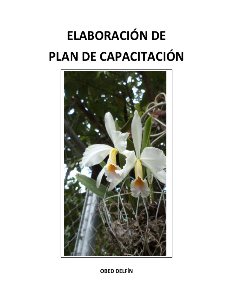 Elaboracion de Plan de Capacitacion PDF | PDF | Planificación | Evaluación
