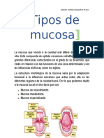 Tipos de Mucosa V