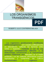 Los Transgénicos