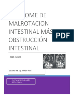 Sindrome Malrotacion Intestinal Mas Obstruccion