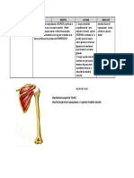 Supraspinos PDF