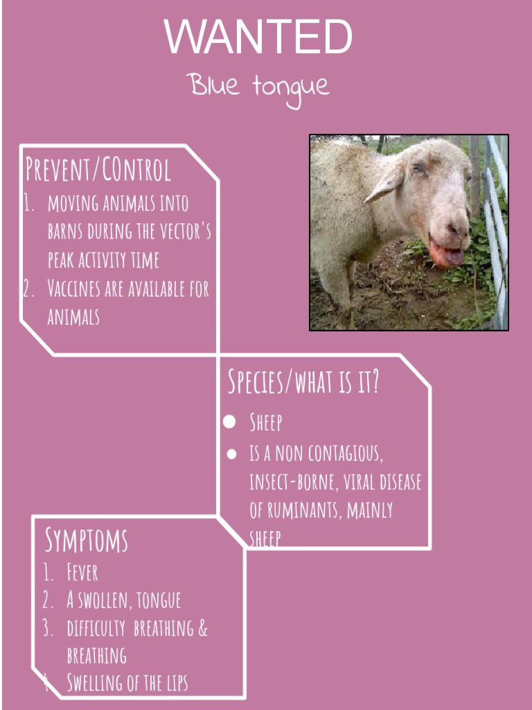 Untitled Drawing PDF