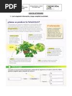 Guía de Actividades SEPTIMO AÑO Refuerzo Fotosíntesis CIENCIAS NATURALES PDF